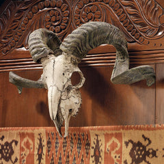 Corsican Ram Skull And Horns Plaque