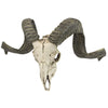 Image of Corsican Ram Skull And Horns Plaque