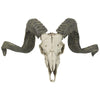 Image of Corsican Ram Skull And Horns Plaque