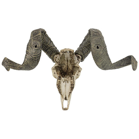 Corsican Ram Skull And Horns Plaque
