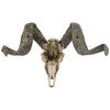 Image of Corsican Ram Skull And Horns Plaque