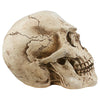 Image of Sinister Simon Skull