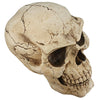 Image of Sinister Simon Skull