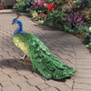 Image of Regal Peacock Statue Large