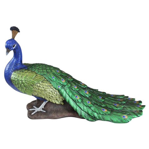 Regal Peacock Statue Large