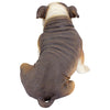 Image of Buster The Bulldog Statue