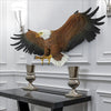 Image of Grande Freedoms Pride Bald Eagle