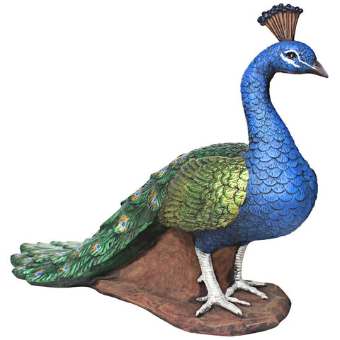 Regal Peacock Statue Medium