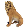 Image of King Of Beasts Lion