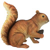 Image of Squirrel W/ Nut