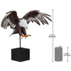 Image of Freedoms Flight Bald Eagle Statue