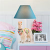 Image of Andes Alpaca Of Rainbow Mountain Lamp