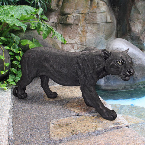 Large Shadowed Predator Black Panther