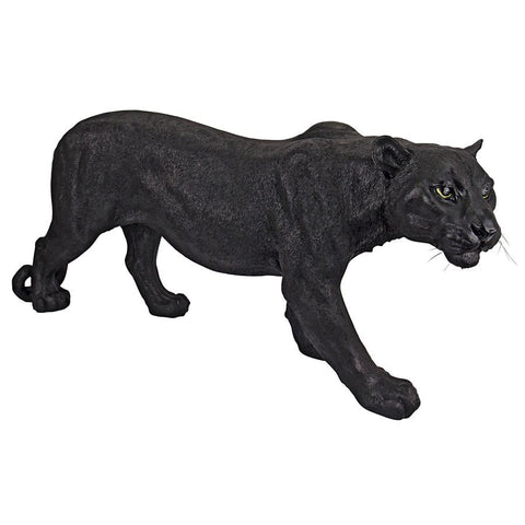 Large Shadowed Predator Black Panther