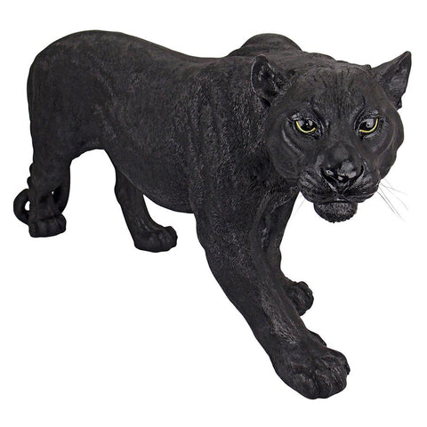 Large Shadowed Predator Black Panther