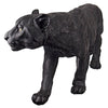 Image of Large Shadowed Predator Black Panther