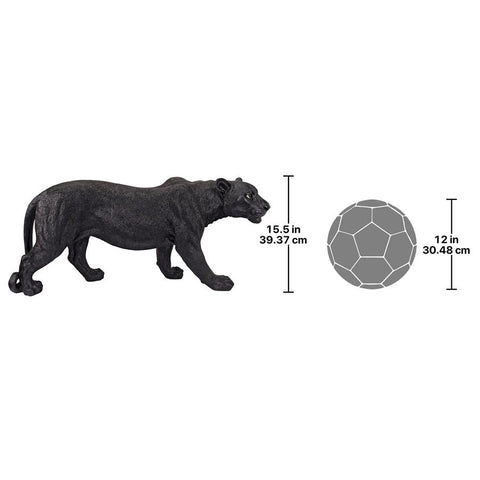 Large Shadowed Predator Black Panther