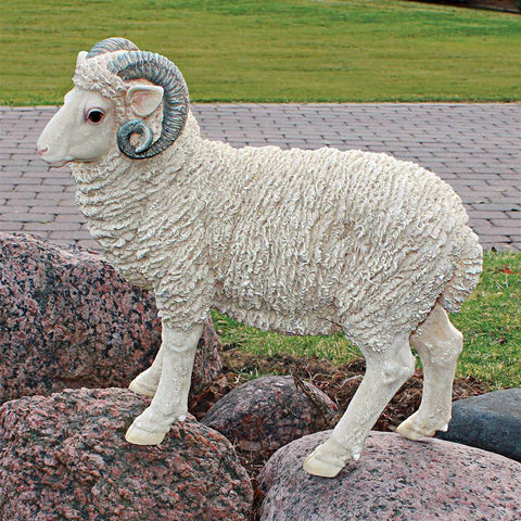 Horned Dorset Sheep Statue