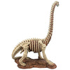 Image of Brachiosaurus Skeleton Dinosaur Statue