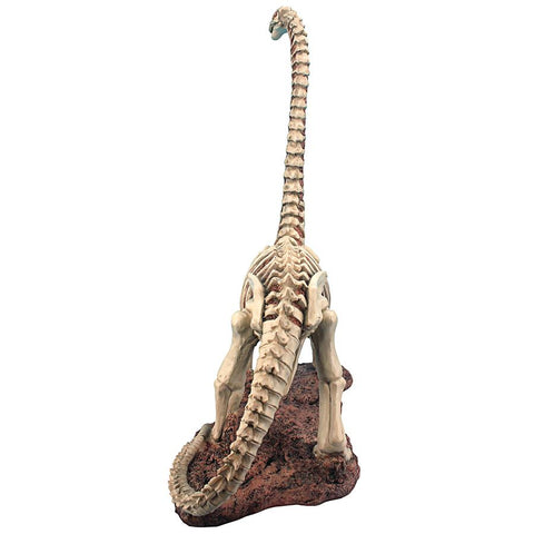 Brachiosaurus Skeleton Dinosaur Statue