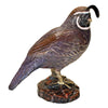 Image of Color Washed Male California Quail