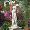 Image of Contemporary Venus Statue