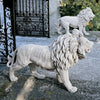 Image of Right Regal Lion Of Grisham Manor