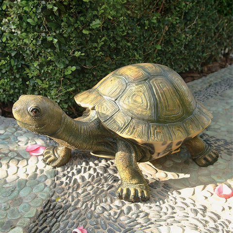 Large Tranquil Tortoise