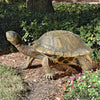 Image of Giant Tranquil Tortoise
