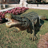 Image of The Gargantuan Garden Gator