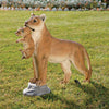 Image of Lioness With Cub Statue