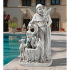 Image of St. Francis Natures Life Giver Fountain