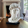 Image of Bust Of Michelangelos David