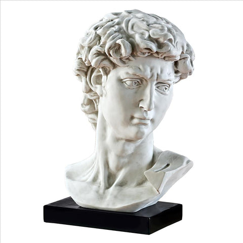 Bust Of Michelangelos David