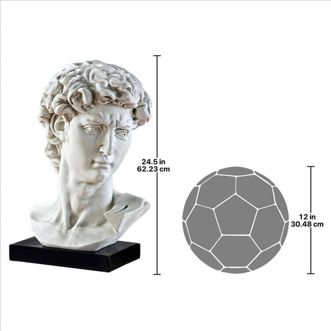 Bust Of Michelangelos David