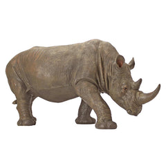 South African Rhino