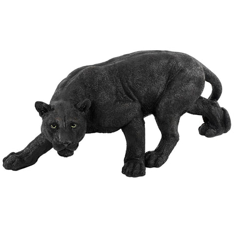 Medium Shadowed Predator Black Panther