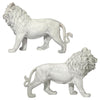 Image of S/2 Regal Lions Of Grisham Manor