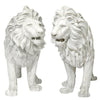 Image of S/2 Regal Lions Of Grisham Manor
