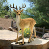 Image of Woodland Buck Deer Statue