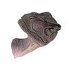 Image of ALLOSAURUS WALL TROPHY MOUTH CLOSED