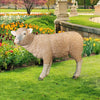 Image of Standing Merino Lamb