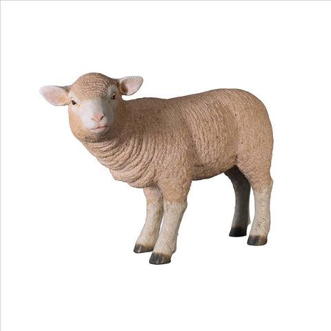 Standing Merino Lamb