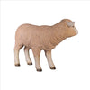 Image of Standing Merino Lamb