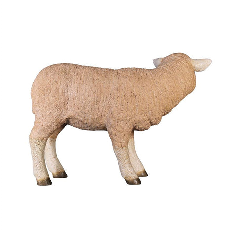 Standing Merino Lamb