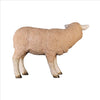 Image of Standing Merino Lamb