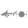 Image of Black Tip Shark Ceiling Mount Trophy