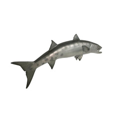 Barracuda Wall Trophy