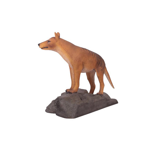 Mysterious Tasmanian Tiger Statue