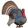 Image of Wild Tom Turkey Statue